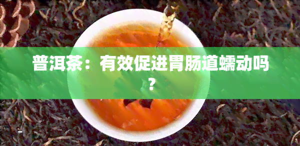 普洱茶：有效促进胃肠道蠕动吗？