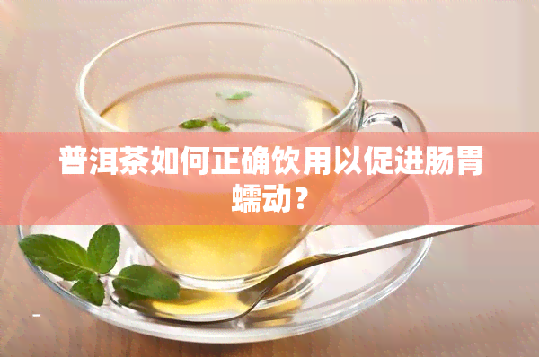 普洱茶如何正确饮用以促进肠胃蠕动？