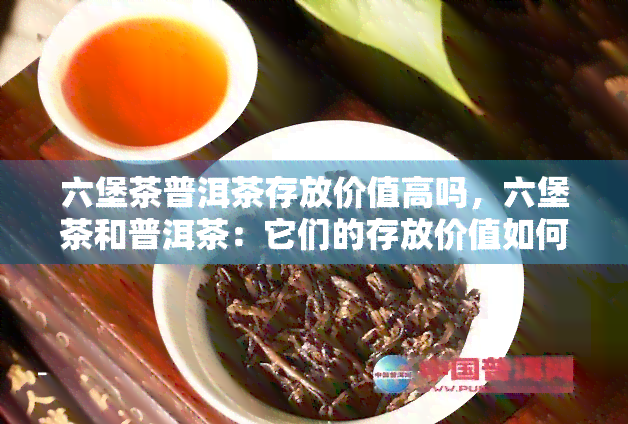 六堡茶普洱茶存放价值高吗，六堡茶和普洱茶：它们的存放价值如何？