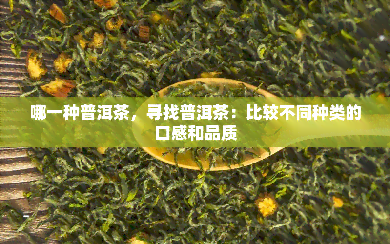 哪一种普洱茶，寻找普洱茶：比较不同种类的口感和品质