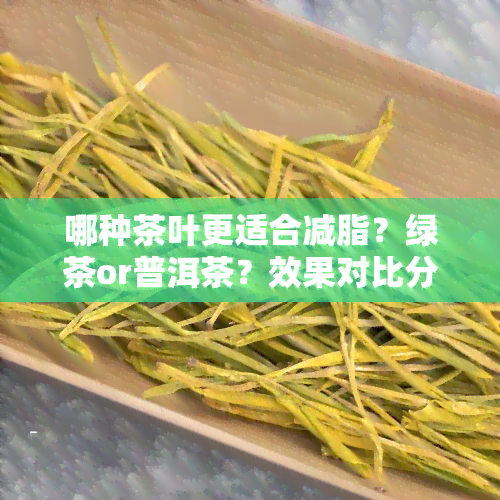 哪种茶叶更适合减脂？绿茶or普洱茶？效果对比分析