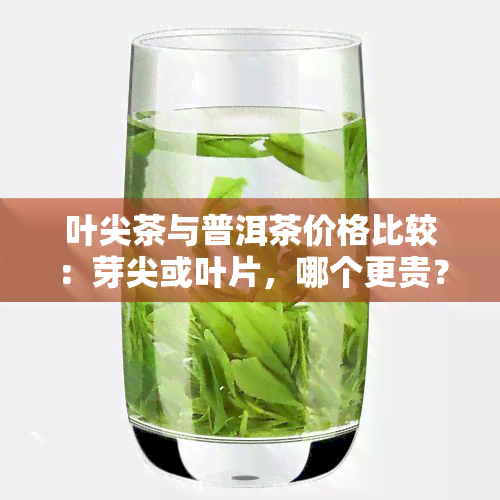 叶尖茶与普洱茶价格比较：芽尖或叶片，哪个更贵？