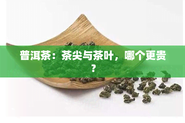 普洱茶：茶尖与茶叶，哪个更贵？