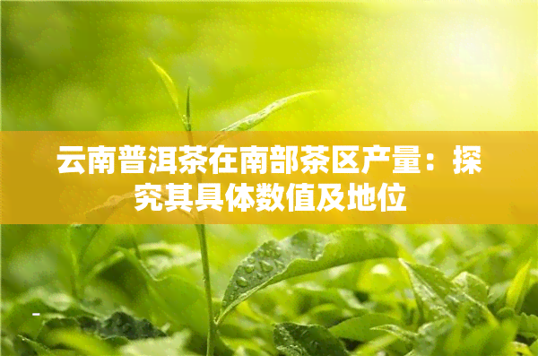 云南普洱茶在南部茶区产量：探究其具体数值及地位