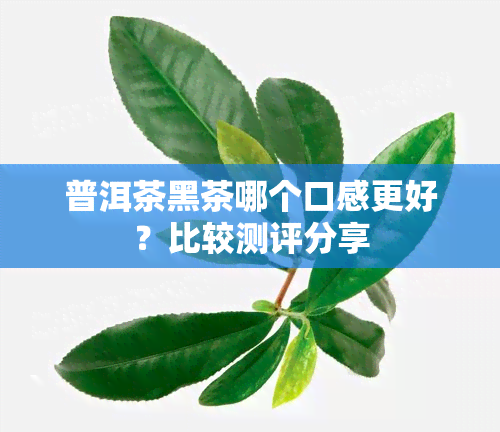 普洱茶黑茶哪个口感更好？比较测评分享