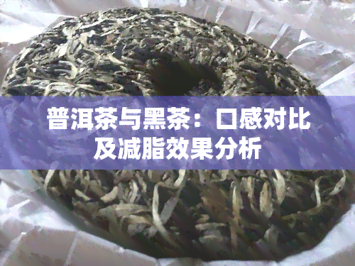 普洱茶与黑茶：口感对比及减脂效果分析