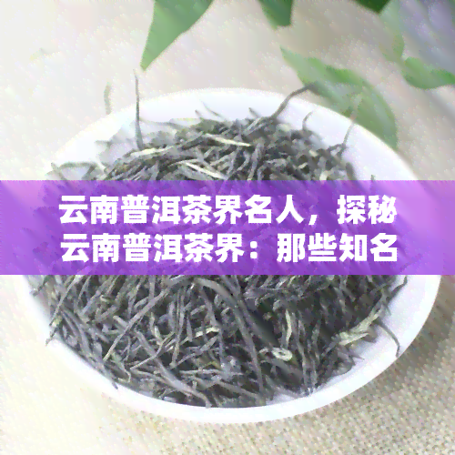 云南普洱茶界名人，探秘云南普洱茶界：那些知名人士的故事与贡献