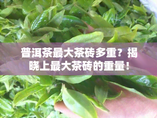 普洱茶更大茶砖多重？揭晓上更大茶砖的重量！