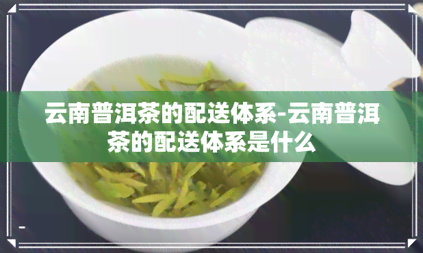 云南普洱茶的配送体系-云南普洱茶的配送体系是什么