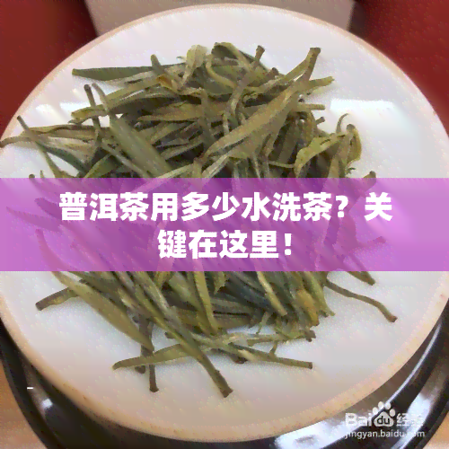 普洱茶用多少水洗茶？关键在这里！