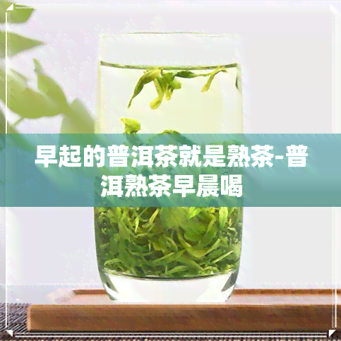 早起的普洱茶就是熟茶-普洱熟茶早晨喝