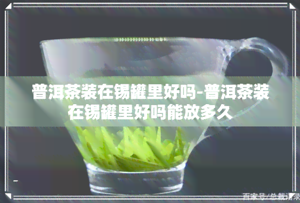 普洱茶装在锡罐里好吗-普洱茶装在锡罐里好吗能放多久