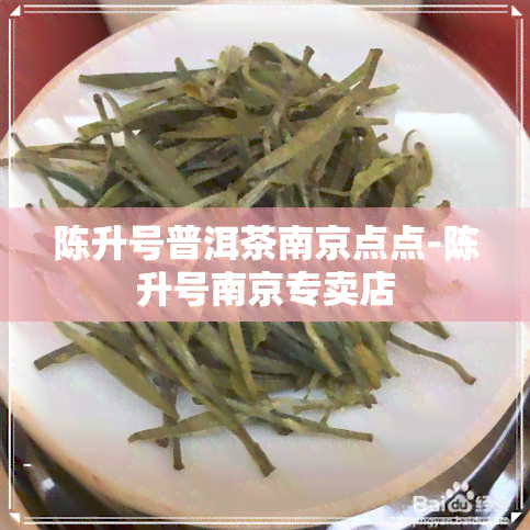 陈升号普洱茶南京点点-陈升号南京专卖店