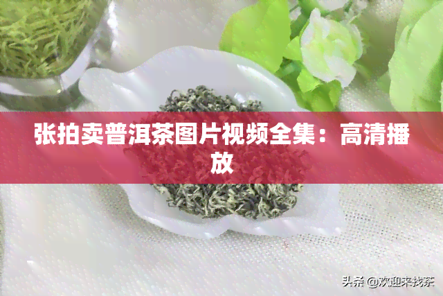 张拍卖普洱茶图片视频全集：高清播放