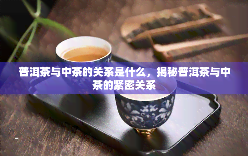 普洱茶与中茶的关系是什么，揭秘普洱茶与中茶的紧密关系