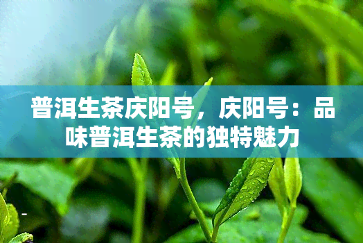 普洱生茶庆阳号，庆阳号：品味普洱生茶的独特魅力