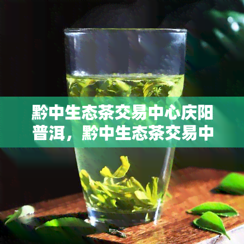 黔中生态茶交易中心庆阳普洱，黔中生态茶交易中心大开业，普洱茶爱好者们的宴！