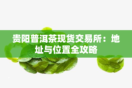 贵阳普洱茶现货交易所：地址与位置全攻略