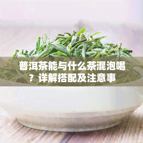 普洱茶能与什么茶混泡喝？详解搭配及注意事