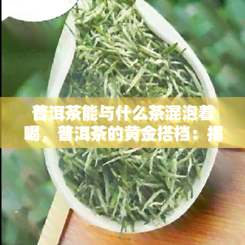 普洱茶能与什么茶混泡着喝，普洱茶的黄金搭档：揭秘能与之混泡的其它茶叶