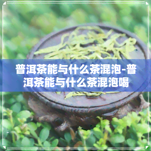 普洱茶能与什么茶混泡-普洱茶能与什么茶混泡喝