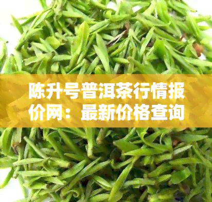 陈升号普洱茶行情报价网：最新价格查询与行情分析