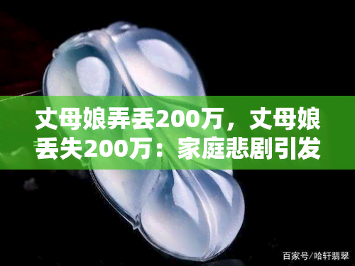 丈母娘弄丢200万，丈母娘丢失200万：家庭悲剧引发社会关注