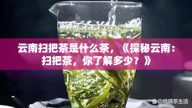 云南扫把茶是什么茶，《探秘云南：扫把茶，你了解多少？》