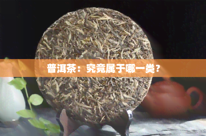 普洱茶：究竟属于哪一类？