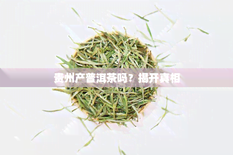 贵州产普洱茶吗？揭开真相