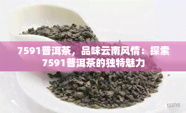 7591普洱茶，品味云南风情：探索7591普洱茶的独特魅力