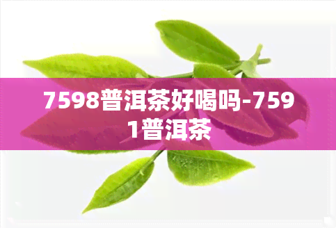 7598普洱茶好喝吗-7591普洱茶