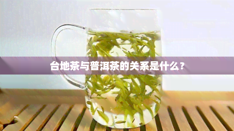 台地茶与普洱茶的关系是什么？