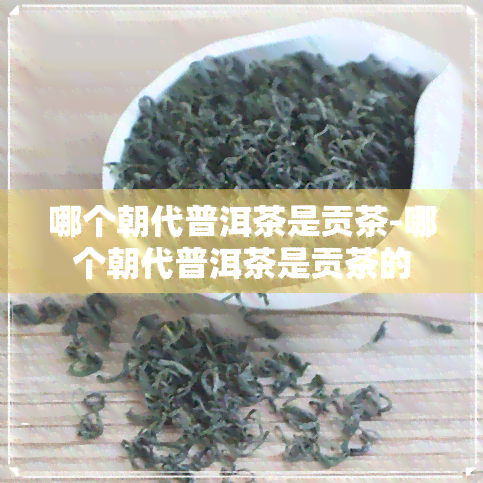 哪个朝代普洱茶是贡茶-哪个朝代普洱茶是贡茶的