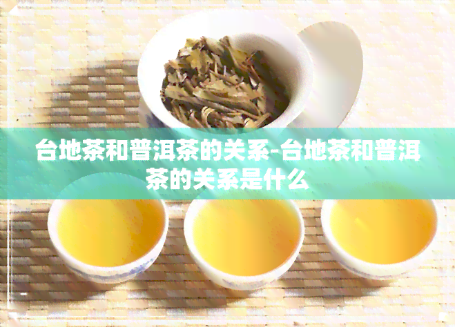 台地茶和普洱茶的关系-台地茶和普洱茶的关系是什么