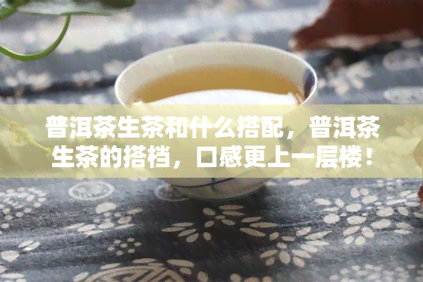 普洱茶生茶和什么搭配，普洱茶生茶的搭档，口感更上一层楼！