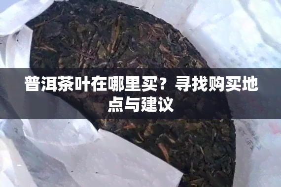 普洱茶叶在哪里买？寻找购买地点与建议