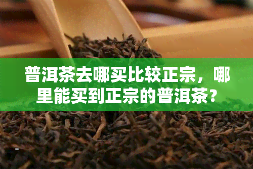 普洱茶去哪买比较正宗，哪里能买到正宗的普洱茶？