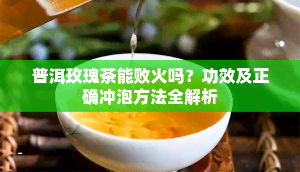 普洱玫瑰茶能败火吗？功效及正确冲泡方法全解析