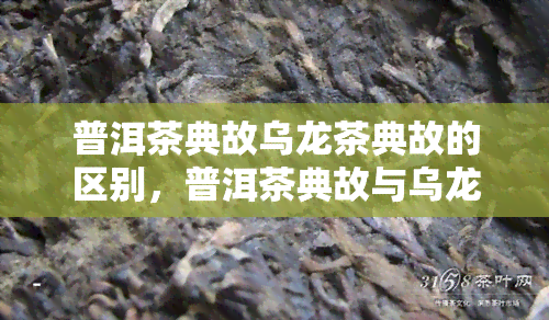 普洱茶典故乌龙茶典故的区别，普洱茶典故与乌龙茶典故：一场东方茶文化的比较