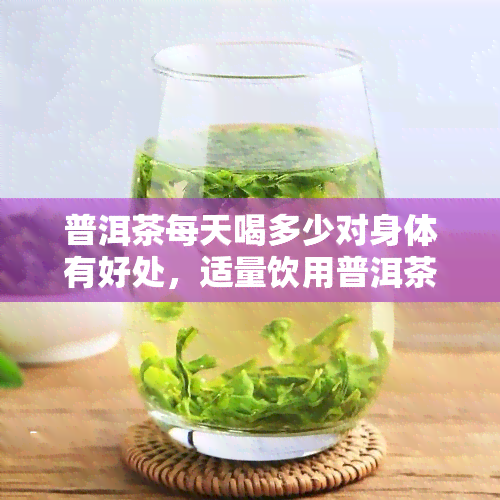 普洱茶每天喝多少对身体有好处，适量饮用普洱茶：每天喝多少才对身体有益？