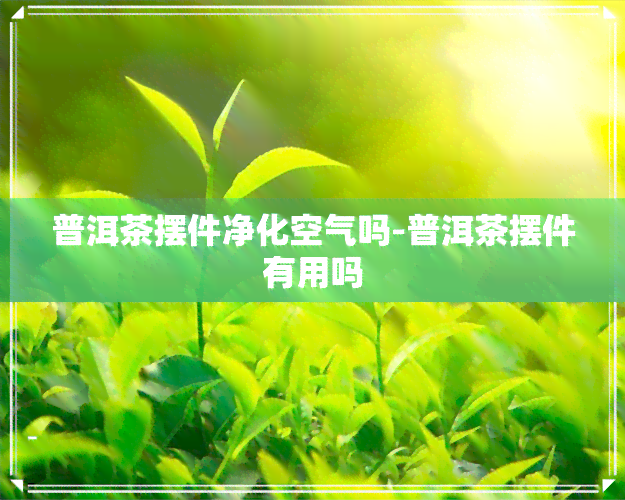 普洱茶摆件净化空气吗-普洱茶摆件有用吗