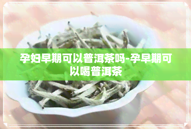 孕妇早期可以普洱茶吗-孕早期可以喝普洱茶