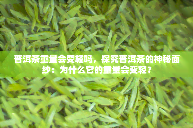 普洱茶重量会变轻吗，探究普洱茶的神秘面纱：为什么它的重量会变轻？