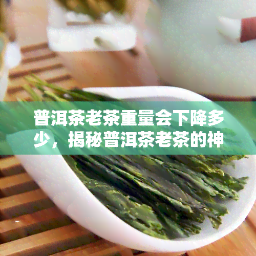 普洱茶老茶重量会下降多少，揭秘普洱茶老茶的神秘面纱：重量为何会下降？