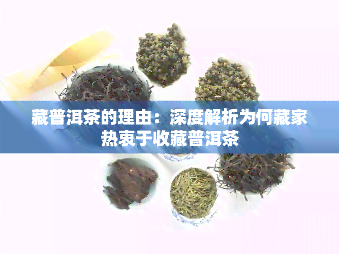 藏普洱茶的理由：深度解析为何藏家热衷于收藏普洱茶