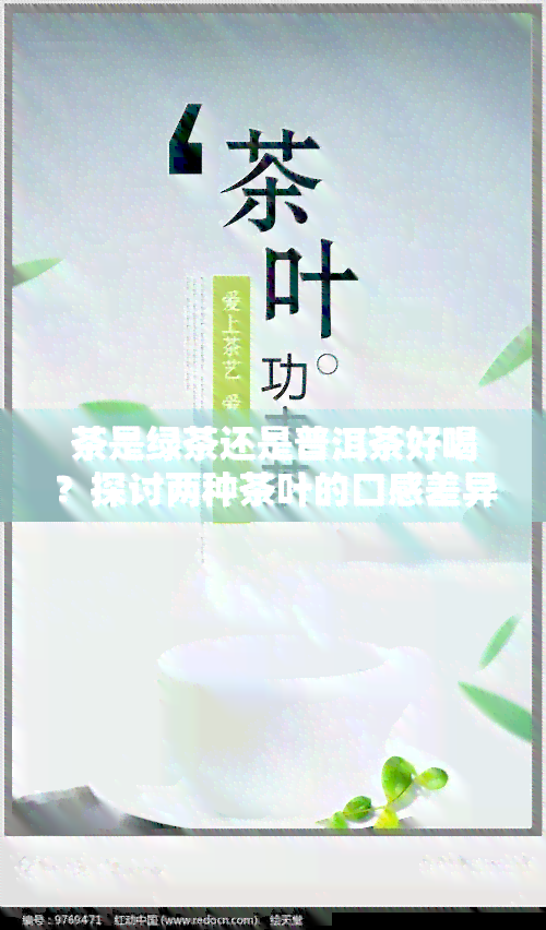 茶是绿茶还是普洱茶好喝？探讨两种茶叶的口感差异与适宜人群