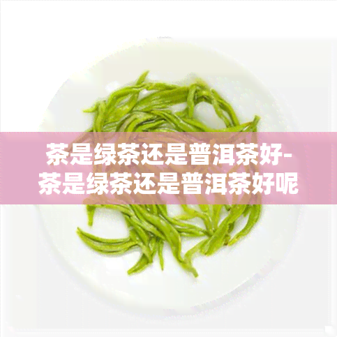 茶是绿茶还是普洱茶好-茶是绿茶还是普洱茶好呢