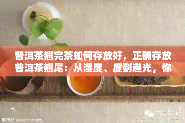 普洱茶翘完茶如何存放好，正确存放普洱茶翘尾：从湿度、度到避光，你需要知道的一切