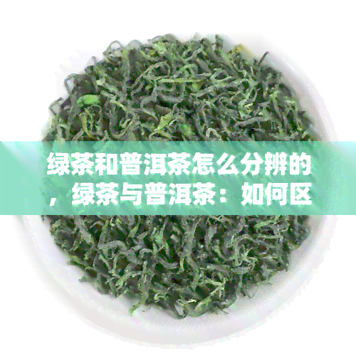 绿茶和普洱茶怎么分辨的，绿茶与普洱茶：如何区分它们的不同之处？